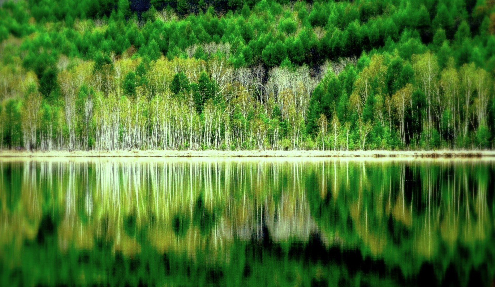春图