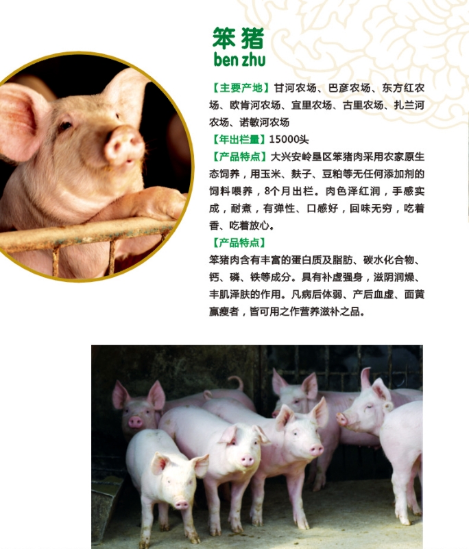 12.笨猪.jpg