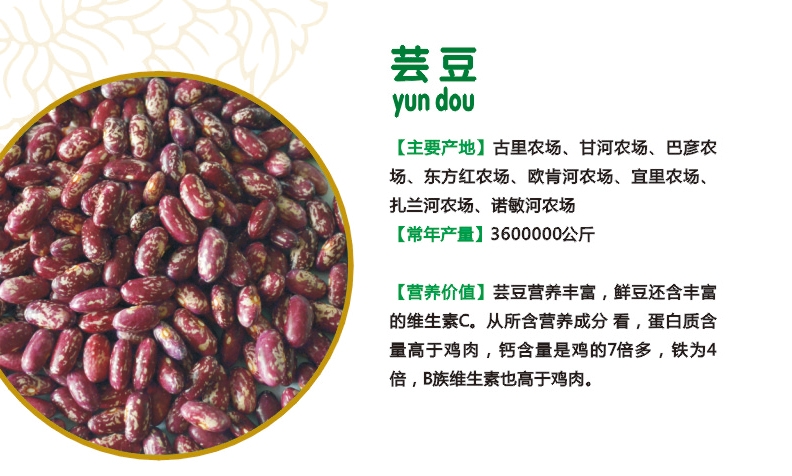 1.芸豆.jpg