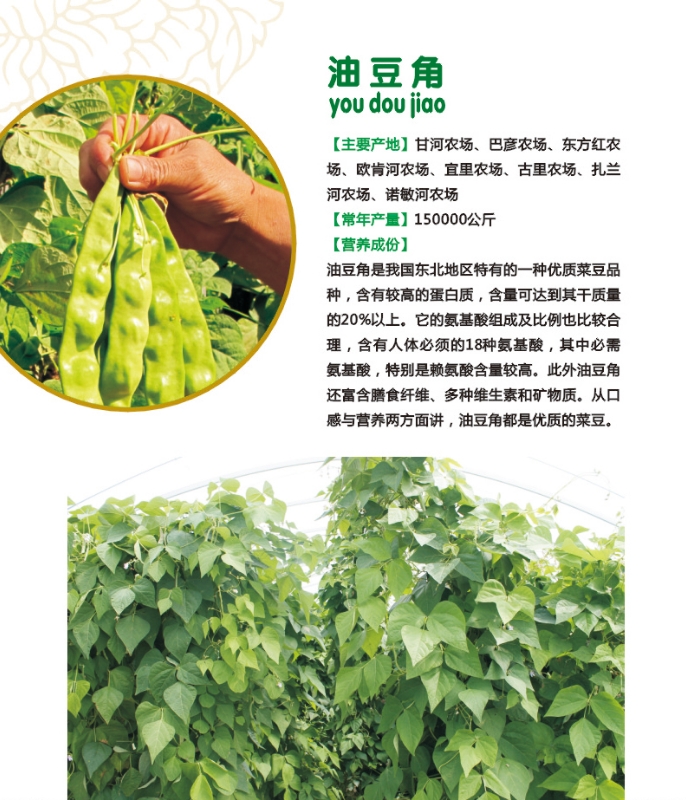 7.油豆角.jpg