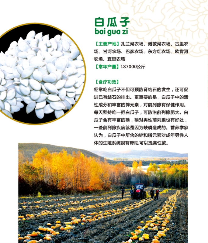 6.白瓜子.jpg